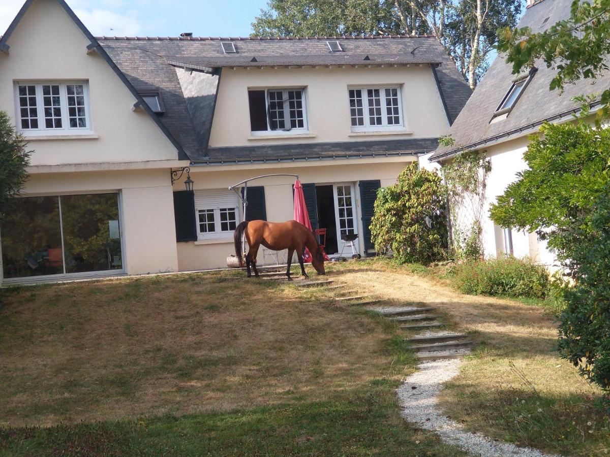 La Fantasia Bed and Breakfast Verrieres-en-Anjou Buitenkant foto